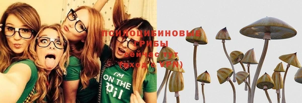 Альфа ПВП Балахна