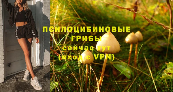 Альфа ПВП Балахна