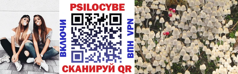 Галлюциногенные грибы Psilocybe  Озёры 